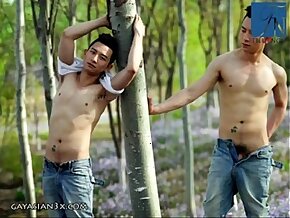 TIỂU NGƯ (BỘ ẢNH 1 A)